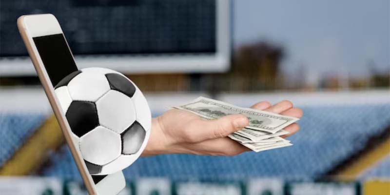 Chương trình khuyến mãi thể thao hấp dẫn quanh năm