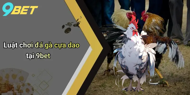 Luật chơi đá gà cựa dao tại 9bet